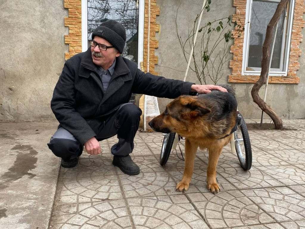 Собака Альфа