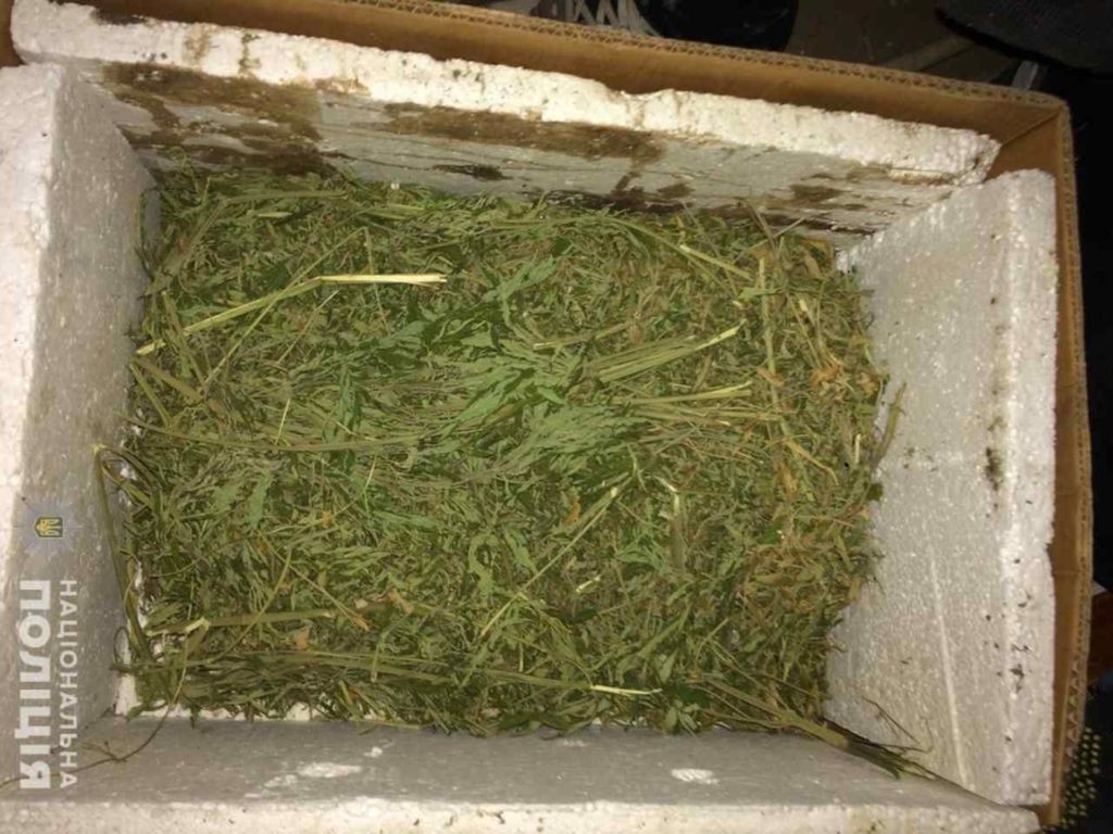 наркотики и оружие