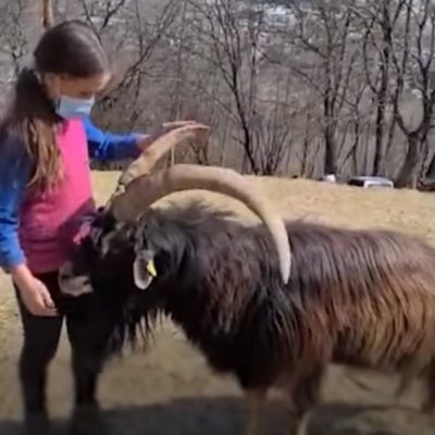Девочка