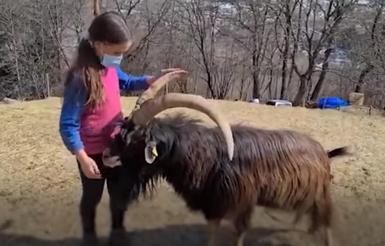 Девочка