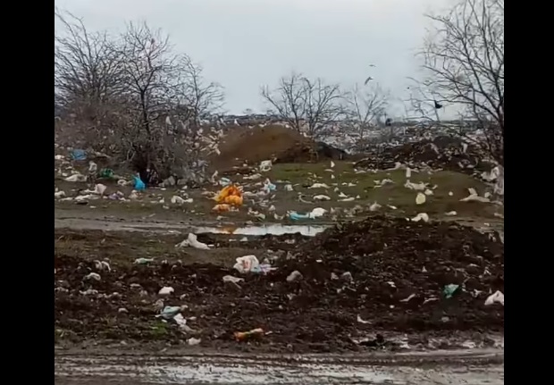 Свалка