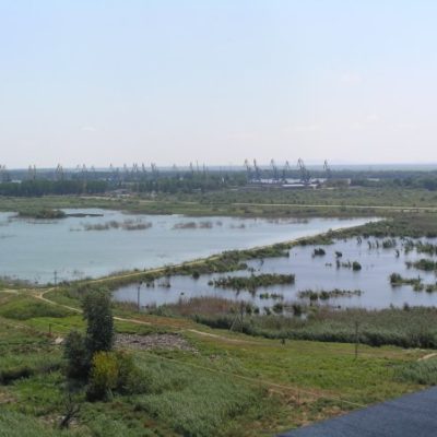 труп