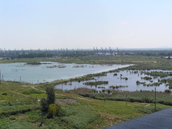 труп