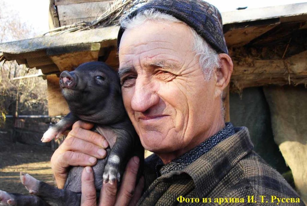 Костецкий