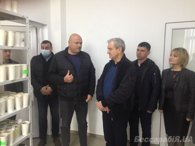 Балканы