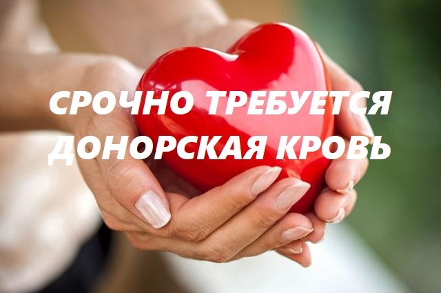 донорская кровь