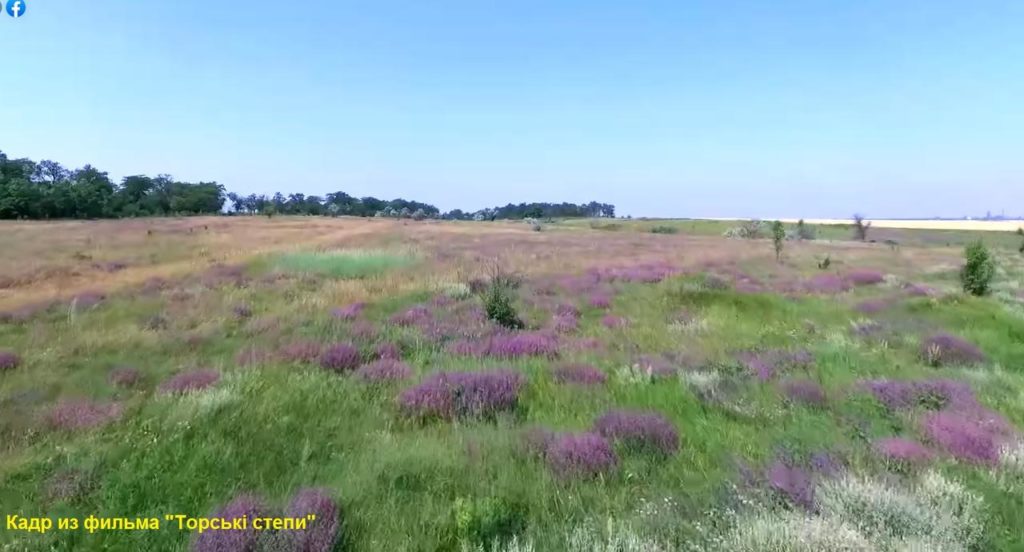 Степь