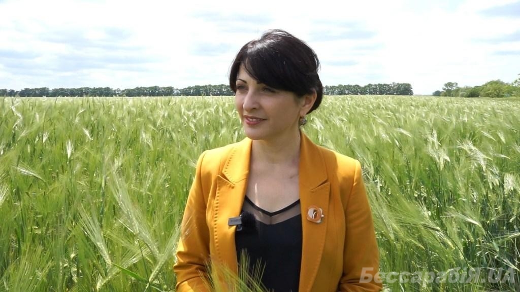 Алла Стоянова
