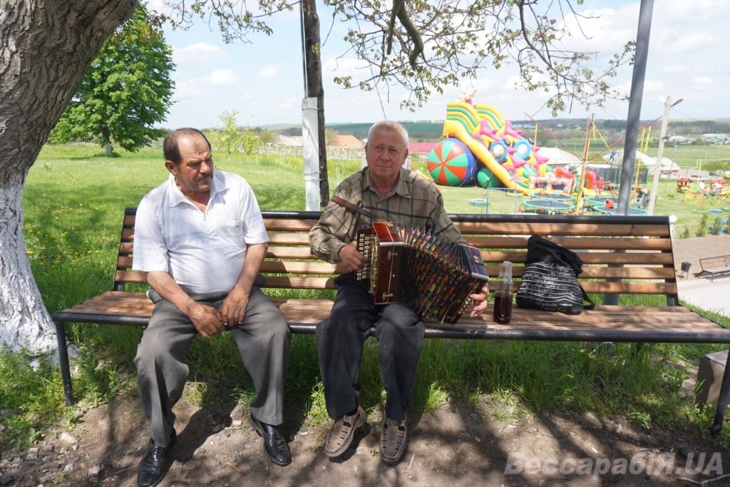 Каракурт