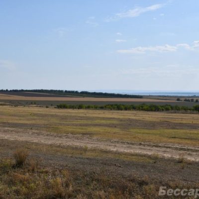 поле Криничное