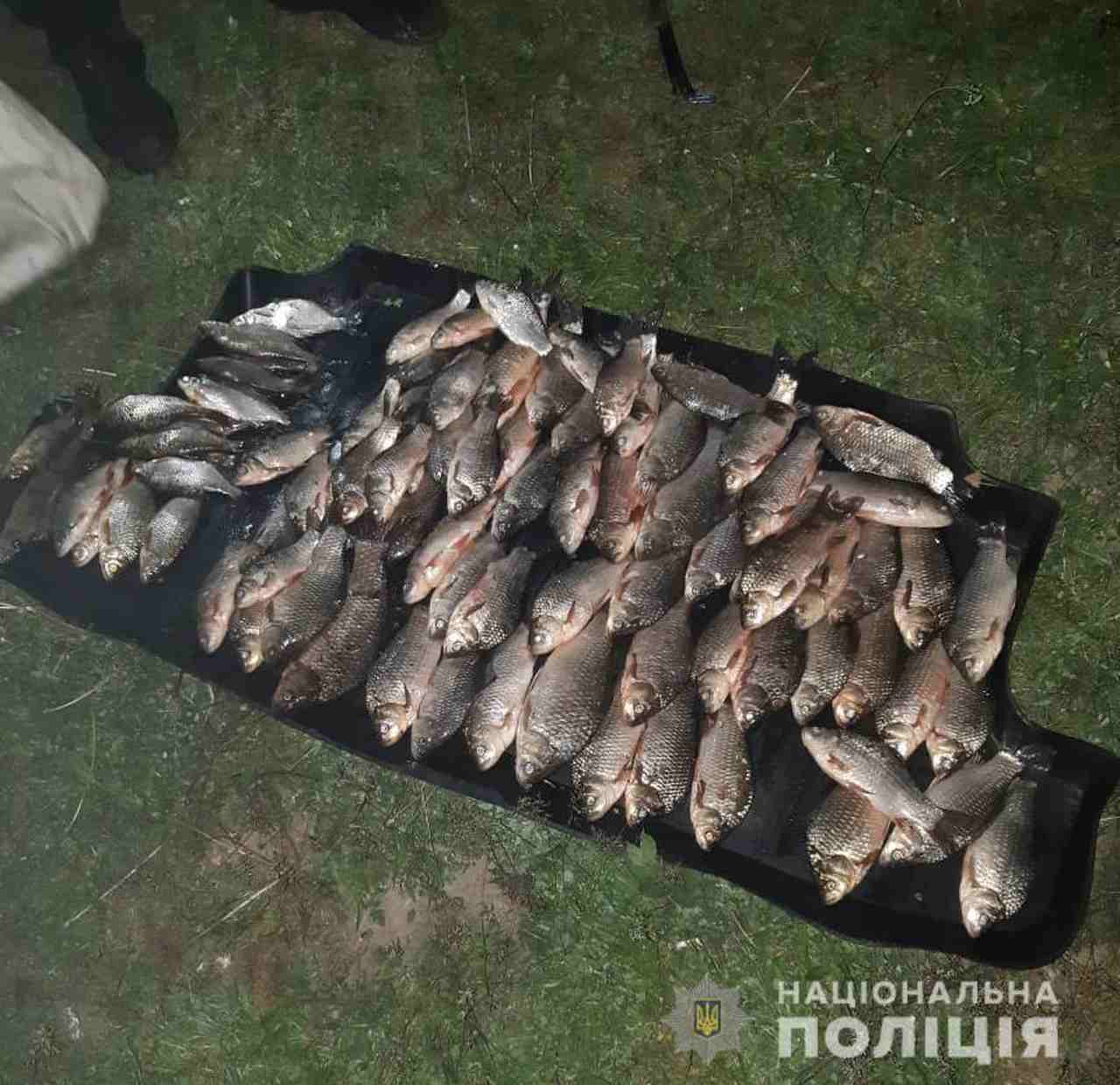 улов