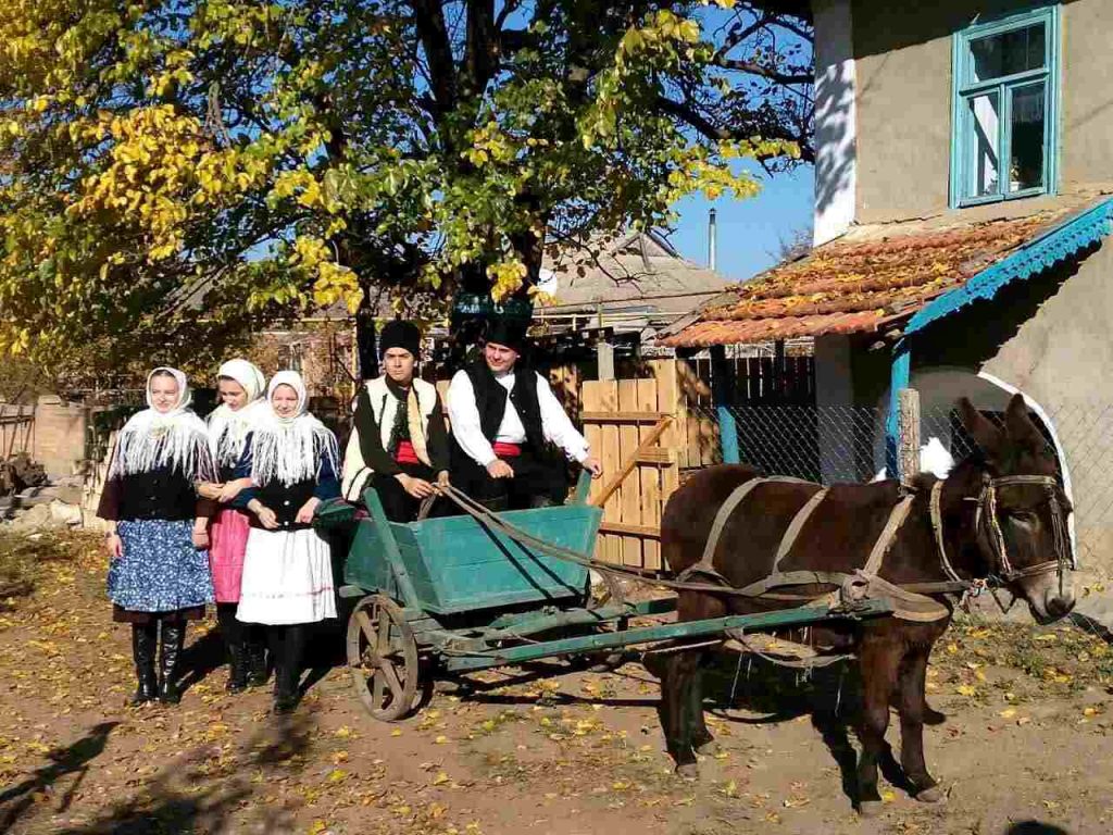 группа