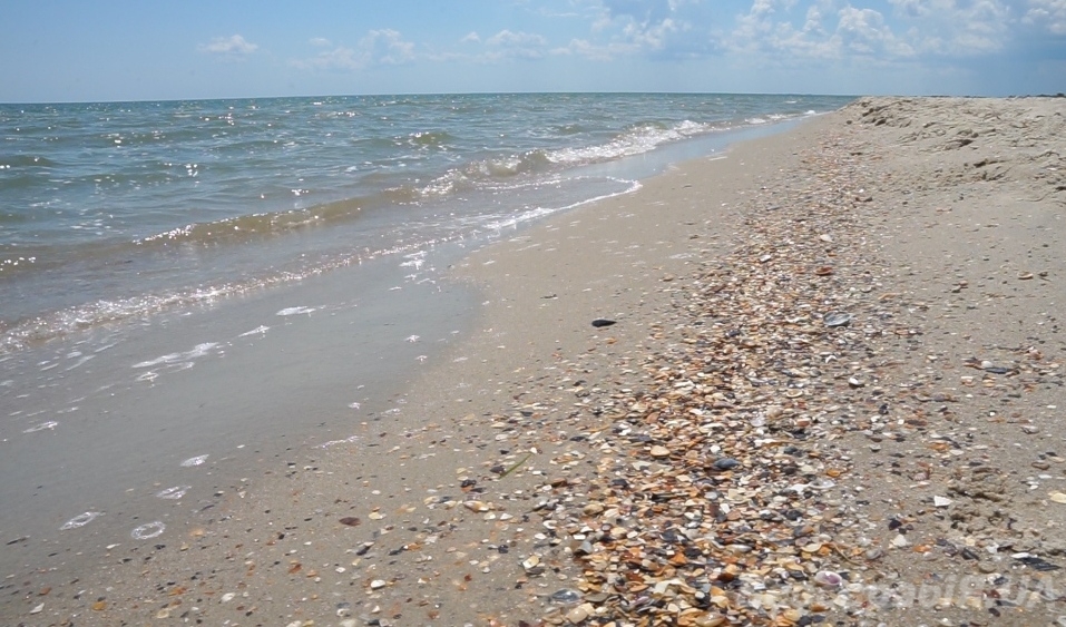 море
