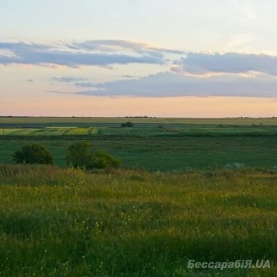 поля
