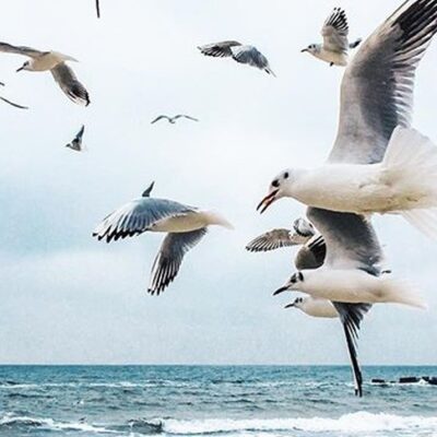 воды