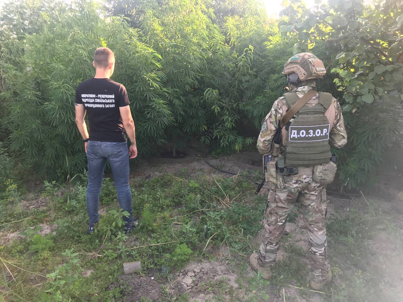 обысков
