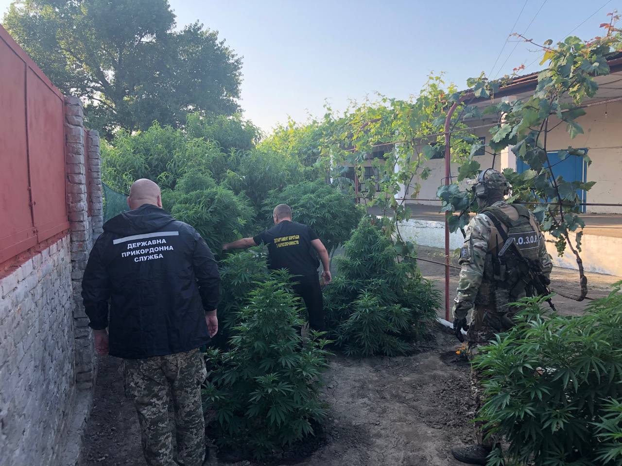 обысков