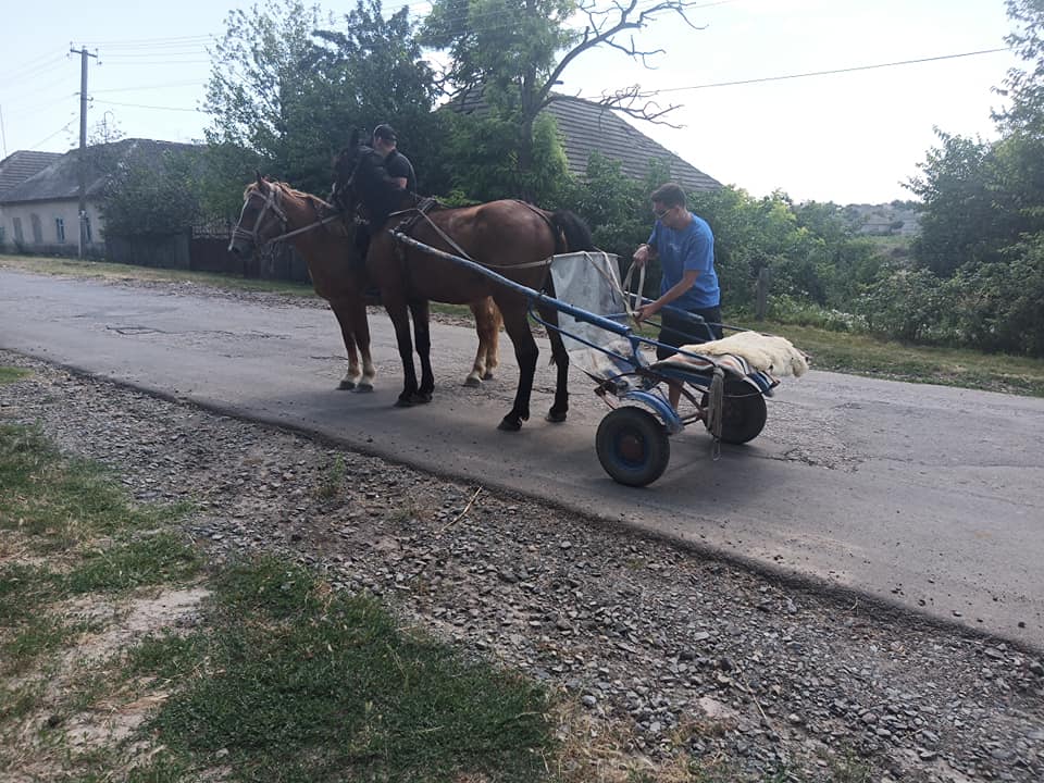Орел и решка