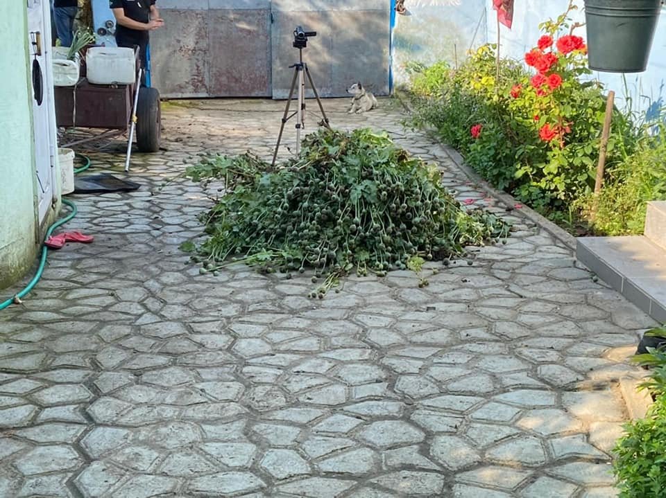 мак