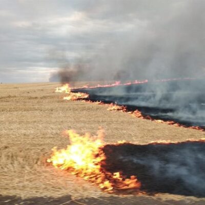 пожар в поле