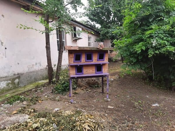 домик