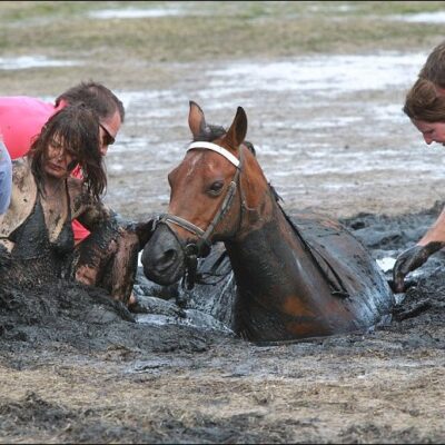 спасение лошади