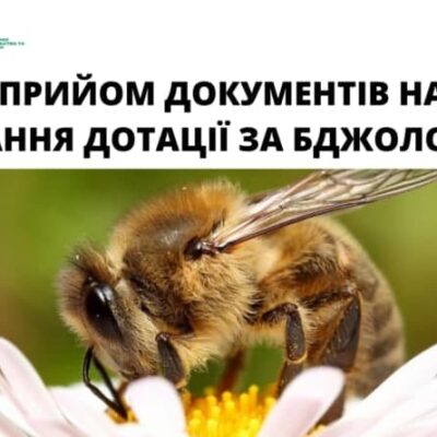 пасека
