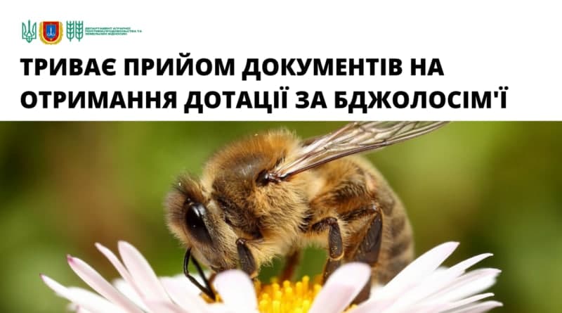 пасека