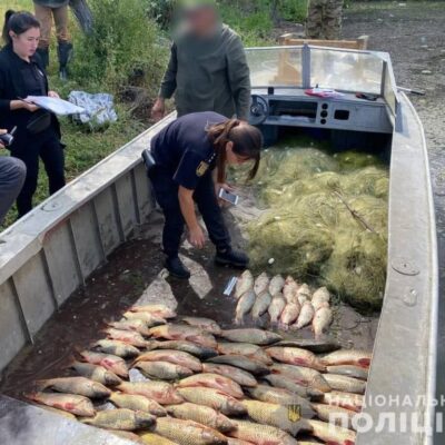 браконьеры