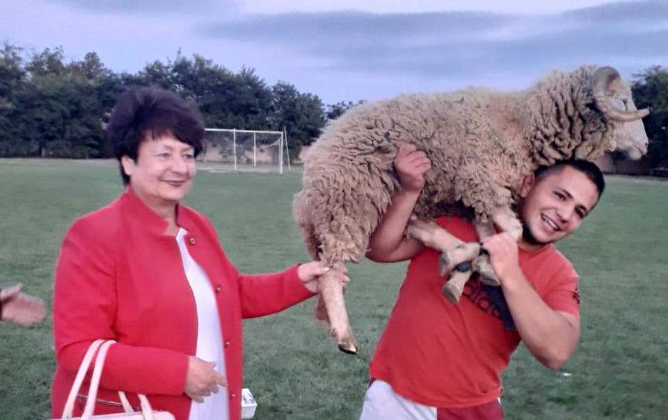 фестиваль
