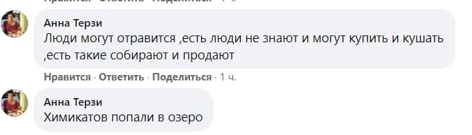 фото Холмское