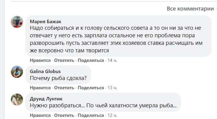 фото Холмское