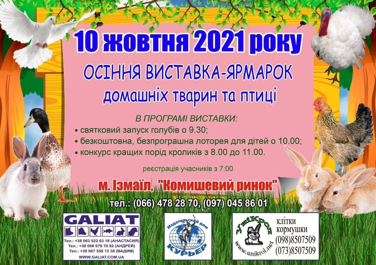 ярмарка