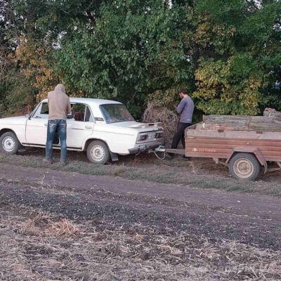 лесорубы