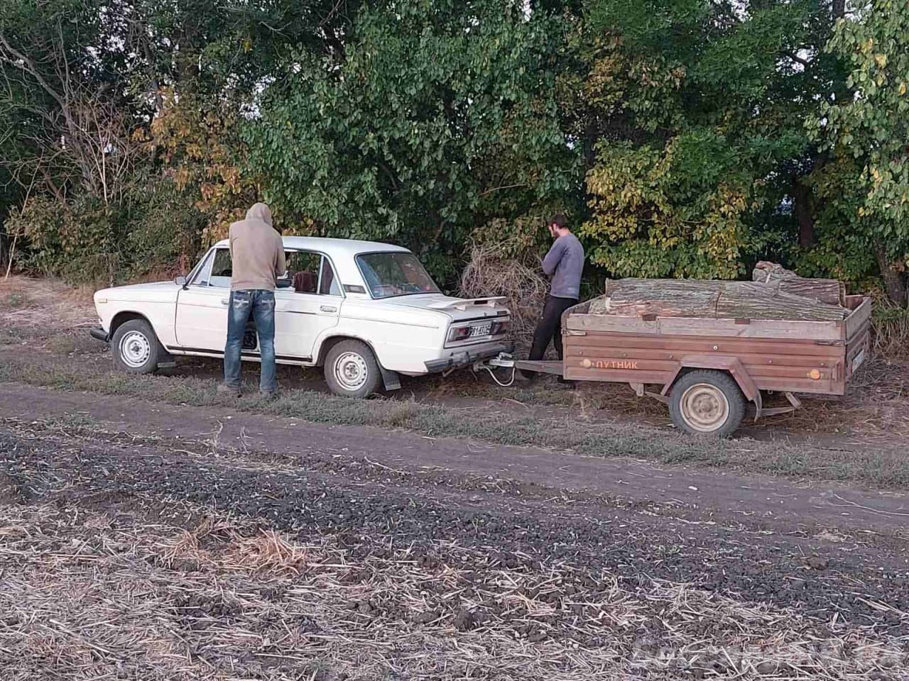 лесорубы