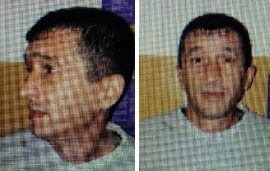 розыск