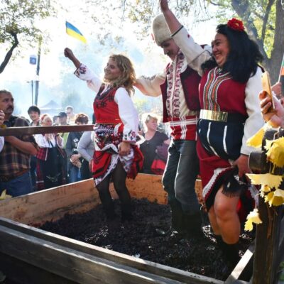 винфест