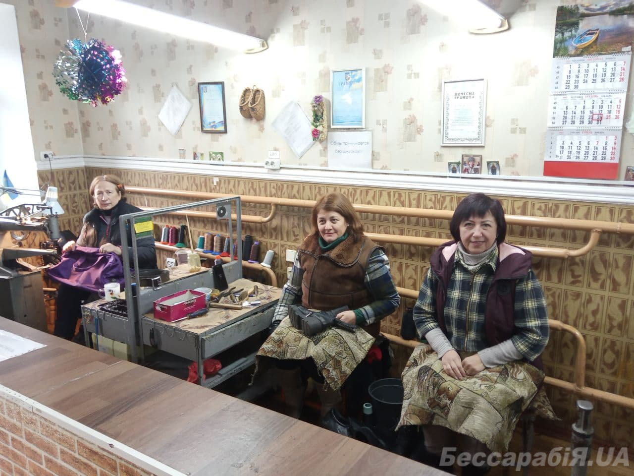башмачницы