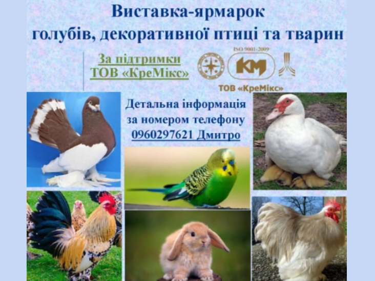 выставка ярмарка