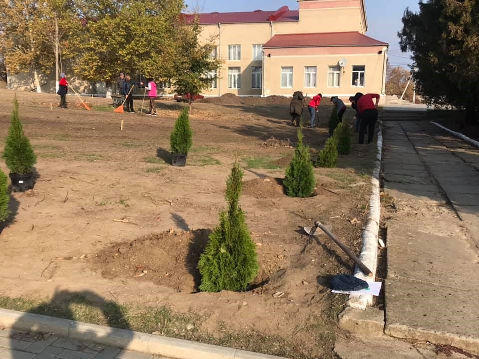 фото парк в васильевке