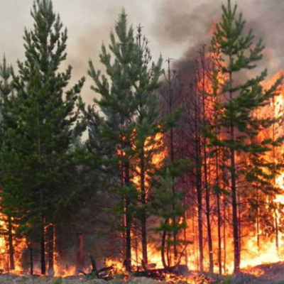 пожар в Суворово