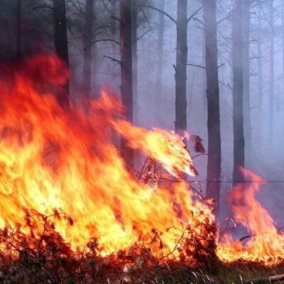 спасатели Измаила