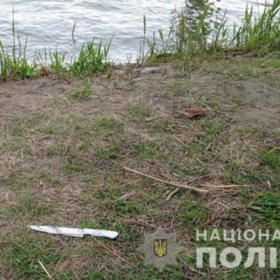 Дунай обед