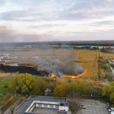 Лебяжье озеро пожар