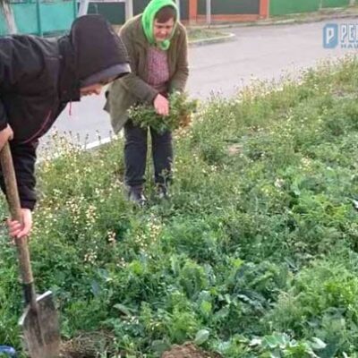 парки Рени