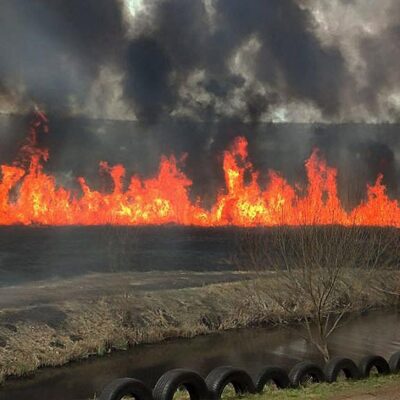 пожар заповедник