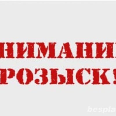 розыск
