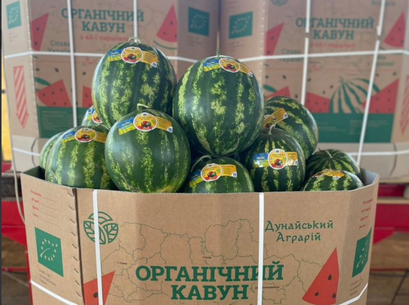 арбузы
