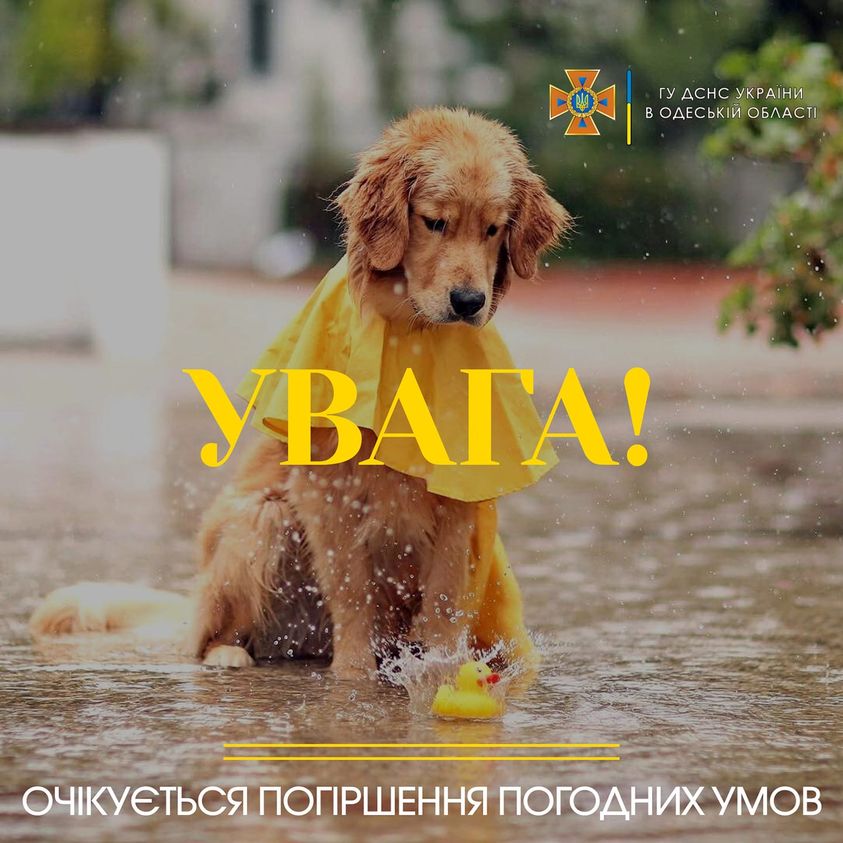погода