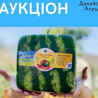 кубичний кавун аукціон